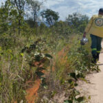 naturatins-inicia-novo-ciclo-de-acoes-do-manejo-integrado-do-fogo-no-parque-e-na-apa-do-jalapao-–-naturatins-to