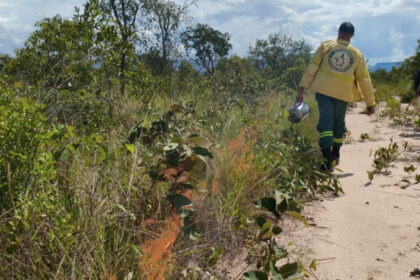 naturatins-inicia-novo-ciclo-de-acoes-do-manejo-integrado-do-fogo-no-parque-e-na-apa-do-jalapao-–-naturatins-to