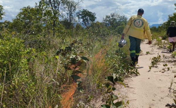 naturatins-inicia-novo-ciclo-de-acoes-do-manejo-integrado-do-fogo-no-parque-e-na-apa-do-jalapao-–-naturatins-to