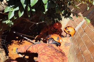 cadela-cega-e-resgatada-junto-a-sete-filhotes-em-barranco-na-regiao-serrana