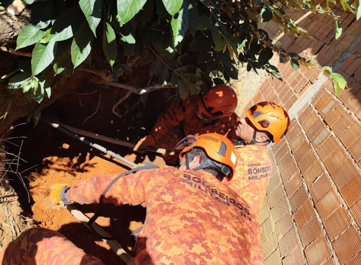 cadela-cega-e-resgatada-junto-a-sete-filhotes-em-barranco-na-regiao-serrana