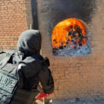 operacao-protetor:-policia-civil-incinera-cerca-de-60kg-drogas-no-sul-do-tocantins-–-ssp-to