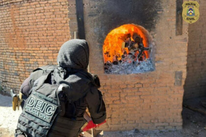 operacao-protetor:-policia-civil-incinera-cerca-de-60kg-drogas-no-sul-do-tocantins-–-ssp-to