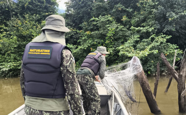 naturatins-intensifica-fiscalizacao-ambiental-e-acoes-educativas-no-norte-do-tocantins-–-naturatins-to