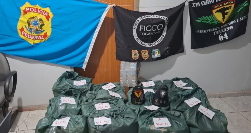 entenda a-prisao-do-motorista-suspeito-de-transportar-467-kg-de-cocaina-em-caminhao-carregado-de-abacaxi