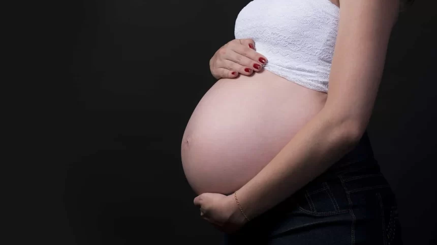 1-em-cada-5-gestantes-nao-conclui-o-pre-natal-no-brasil,-aponta-pesquisa