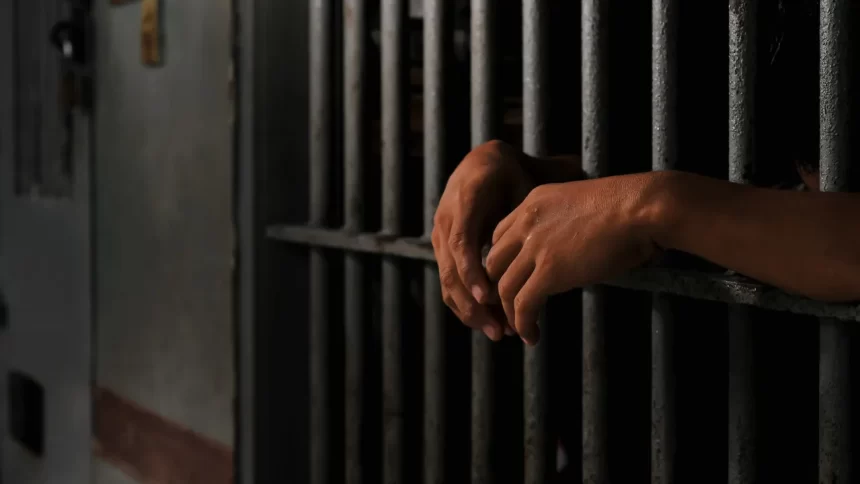 familia-descobre-horror:-pai-de-seis-filhos-mantinha-idosos-em-cativeiro