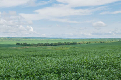 governo-do-tocantins-anuncia-inicio-do-plantio-excepcional-de-soja-nas-varzeas-tropicais-em-20-de-abril-–-secom-to