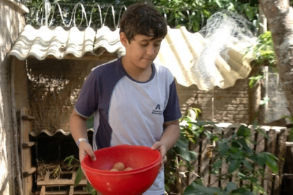 menino-de-11-anos-que-montou-granja-no-to-faz-doacao para-criancas-carentes-e-inspira-colegas