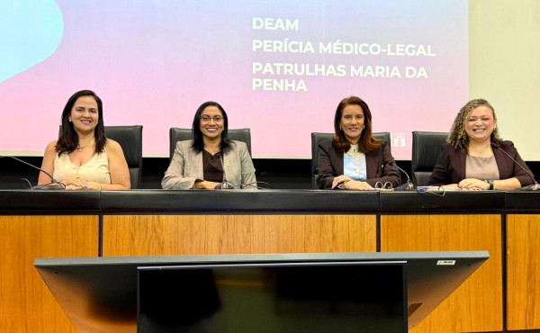 governo-do-tocantins-participa-de-encontro-para-validacao-das-novas-diretrizes-das-casas-da-mulher-brasileira-–-secom-to