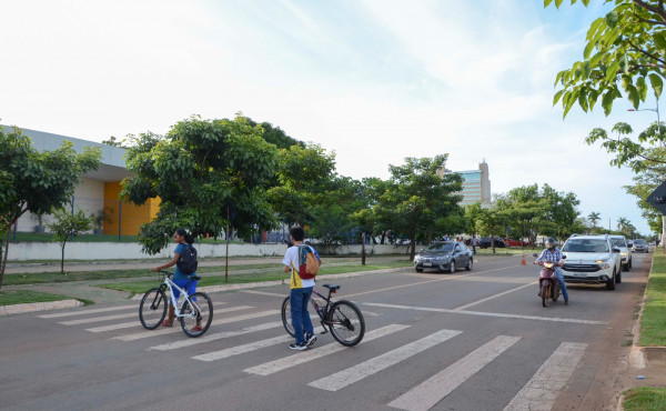 dia-mundial-da-paz-no-transito:-detran/to-reforca-reflexao-e-atitudes-para-um-transito-mais-seguro-–-detran-to