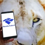 saiba-como-vai-funcionar-o-cashback-da-restituicao-automatica-do-ir