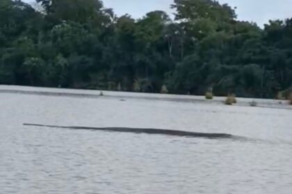 professora-se-surpreende-com-sucuri-em-lago-de-chacara-no-to;