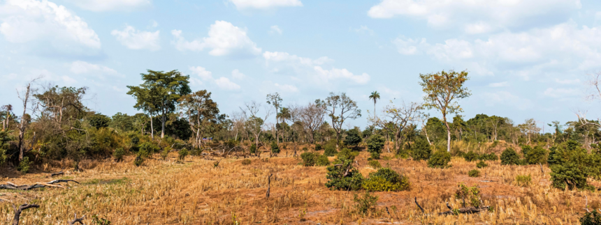 mpto-fecha-acordo-historico-e-viabiliza-recuperacao-de-3,3-mil-hectares-no-cerrado