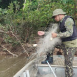 naturatins-realiza-acao-de-fiscalizacao-e-educativa-na-regiao-do-bico-do-papagaio-–-naturatins-to