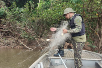 naturatins-realiza-acao-de-fiscalizacao-e-educativa-na-regiao-do-bico-do-papagaio-–-naturatins-to