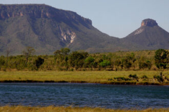 naturatins-completa-37-anos-e-avanca-com-modernizacao-na-preservacao-e-no-desenvolvimento-sustentavel-–-naturatins-to