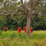 corpo-de-bombeiros-militar-suspende-buscas-por-homem-que-desapareceu-entre-paraiso-do-tocantins-e-monte-santo
-–-bombeiros-to