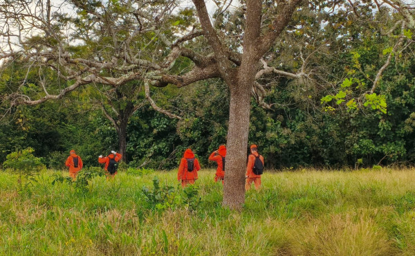 corpo-de-bombeiros-militar-suspende-buscas-por-homem-que-desapareceu-entre-paraiso-do-tocantins-e-monte-santo
-–-bombeiros-to