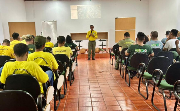 naturatins-conclui-planejamento-do-manejo-integrado-do-fogo-na-regiao-do-cantao
-–-secom-to