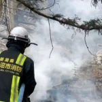 centenas-de-bombeiros-combatem-incendios-florestais-no-norte-do-japao