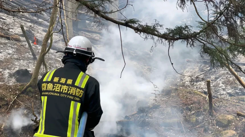 centenas-de-bombeiros-combatem-incendios-florestais-no-norte-do-japao