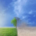 avancam-projecoes-de-el-nino-mais-forte-neste-ano