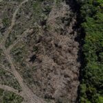 desmatamento-na-amazonia-cai-17%-no-1o-trimestre,-mas-volta-a-subir-em-marco
