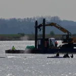 baleia-encalhada-na-alemanha-e-colocada-em-balsa,-em-operacao-polemica-de-milionarios