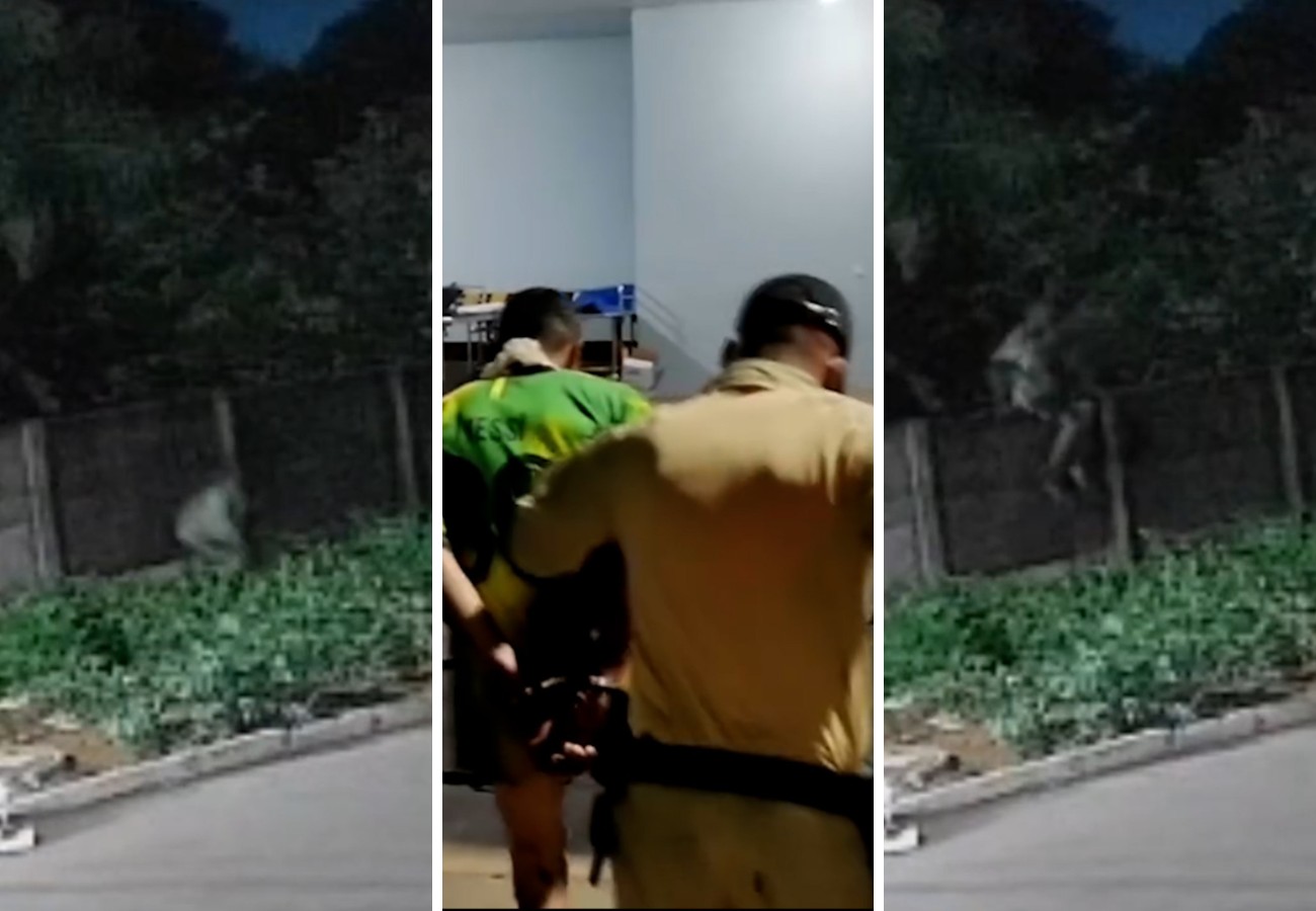 suspeito-de-matar-pitbull-ao-invadir-casa-no-to-e-encontrado-em-cemiterio-com-marcas-de-mordidas