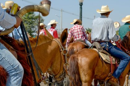 ministerio-publico-recomenda-acoes-para-garantir-bem-estar-animal-e-seguranca-na-cavalgada-da-expogurupi-2026