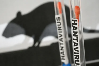 o-que-e-e-como-se-transmite-o-hantavirus,-responsavel-por-tres-mortes-em-cruzeiro-no-atlantico