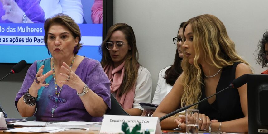 na-camara,-marcia-lopes-debate-escalada-de-violencia-contra-a-mulher