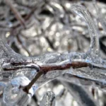 previsao-diz-que-ha-chance-de-neve-no-brasil-neste-fim-de-semana