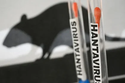 parana-confirma-dois-casos-de-hantavirus-e-investiga-outros-11