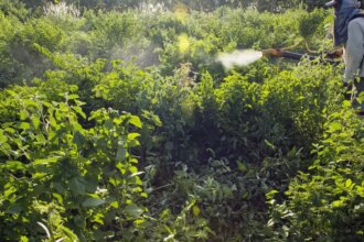 governo-vai-monitorar-presenca-de-agrotoxico-em-bacias-hidrograficas