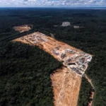 planeta-perdeu-mais-de-41-milhoes-de-hectares-de-florestas-em-10-anos