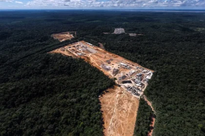 planeta-perdeu-mais-de-41-milhoes-de-hectares-de-florestas-em-10-anos