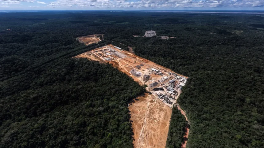 planeta-perdeu-mais-de-41-milhoes-de-hectares-de-florestas-em-10-anos