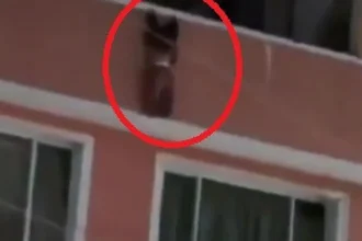 menino-de-2-anos-cai-de-varanda-e-e-salvo-por-vizinhos-na-colombia;-video