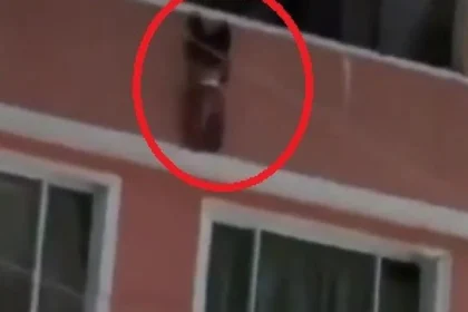 menino-de-2-anos-cai-de-varanda-e-e-salvo-por-vizinhos-na-colombia;-video