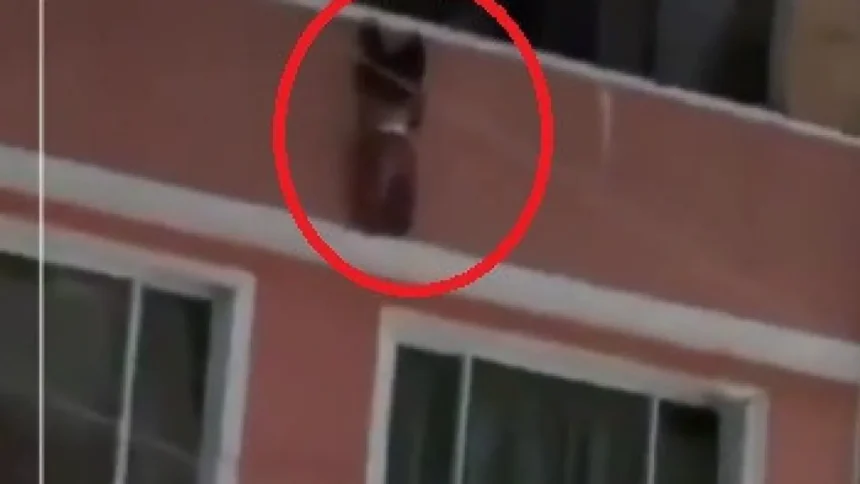 menino-de-2-anos-cai-de-varanda-e-e-salvo-por-vizinhos-na-colombia;-video