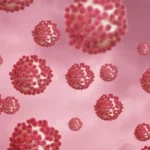 norovirus-e-hantavirus:-entenda-diferencas-e-qual-preocupa-mais