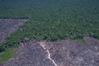 paises-discutem-solucao-para-combustivel-fossil-e-desmatamento-ilegal