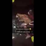 homem-e-filmado-transportando-ovelha-em-moto-na-franca;-video