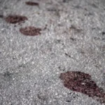 crianca-baleada-em-quadra-morreu-nos-bracos-do-irmao-no-rio,-diz-tio