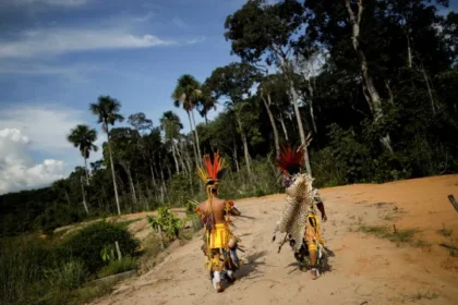 fazendeiros-usam-agrotoxicos-para-expulsar-aldeia-indigena-em-rondonia,-diz-mpf