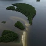 carbono-azul-ganha-espaco-na-agenda-climatica-dos-oceanos