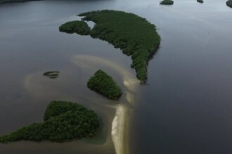 carbono-azul-ganha-espaco-na-agenda-climatica-dos-oceanos