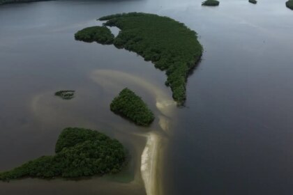 carbono-azul-ganha-espaco-na-agenda-climatica-dos-oceanos